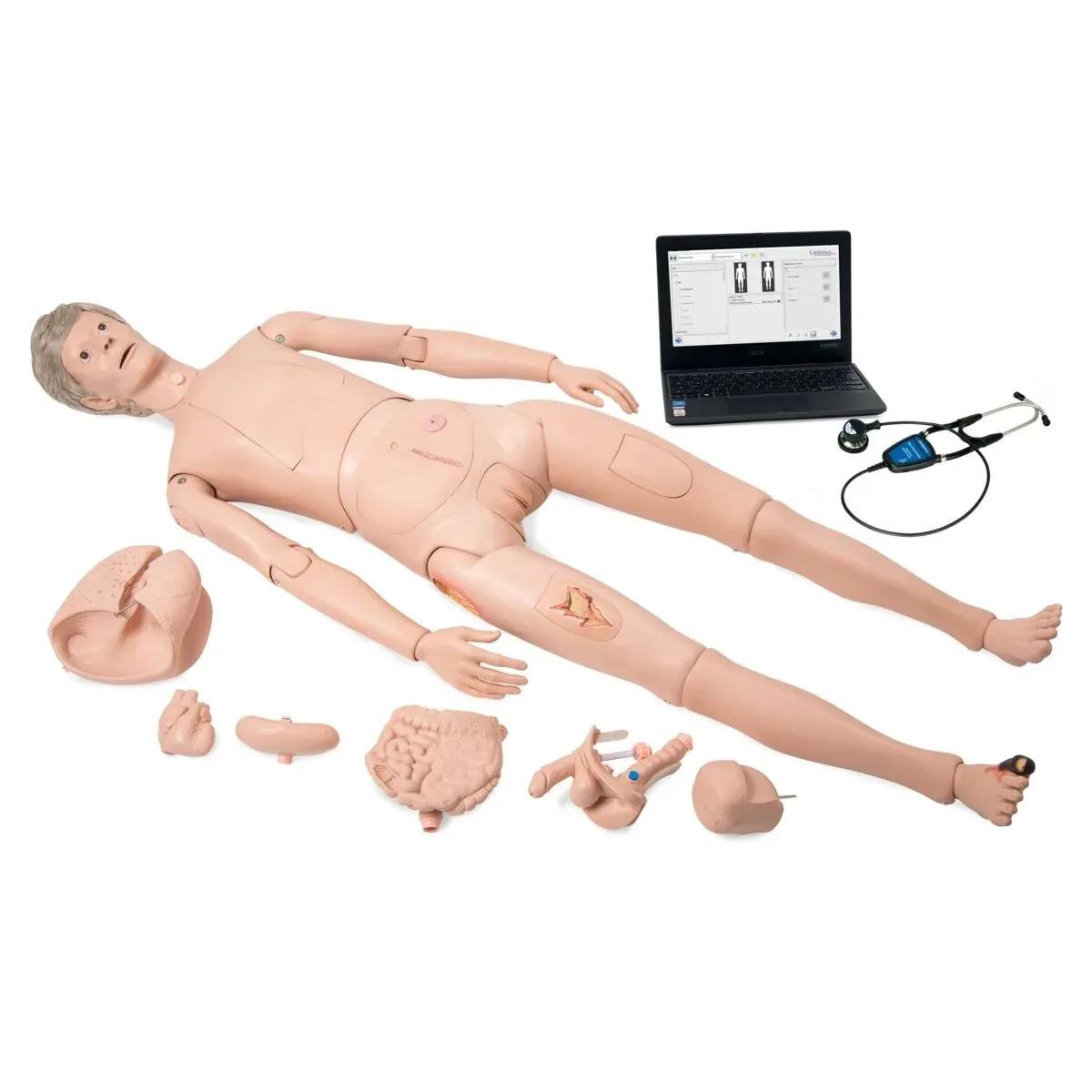 Multi Functional Nursing Training Manikin | Medical Training Simulator
